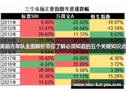 英超青年队全面解析带你了解必须知道的五个关键知识点