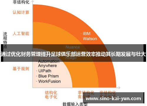 通过优化财务管理提升足球俱乐部运营效率推动其长期发展与壮大 通过优化财务管理提升足球俱乐部运营效率推动其长期发展与壮大