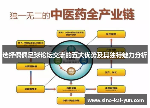 选择偶偶足球论坛交流的五大优势及其独特魅力分析 选择偶偶足球论坛交流的五大优势及其独特魅力分析